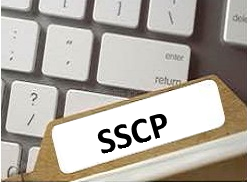 Güvenlilik ve Klinik Performans Özeti (SSCP)