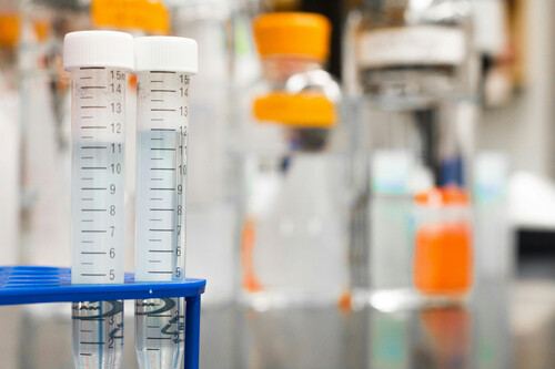 Biocompatibility Evaluation