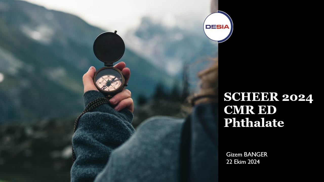 SCHEER 2024 CMR ED Phthalate